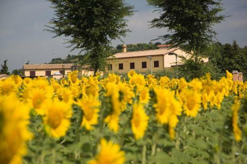 Agroturismo Le Fiabe Hotel Resort