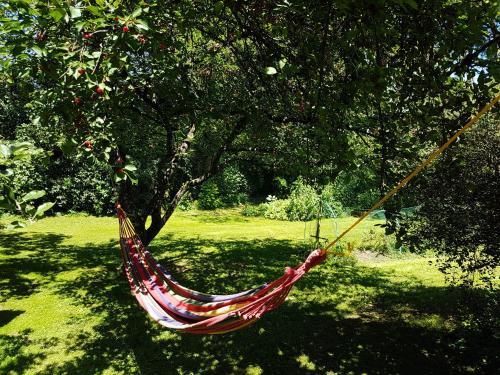 Bed & Breakfast Chambres D'h�tes La Corne Aux Vaches