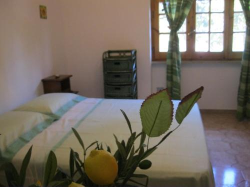 Apartamento Casa Vacanze Ludovica