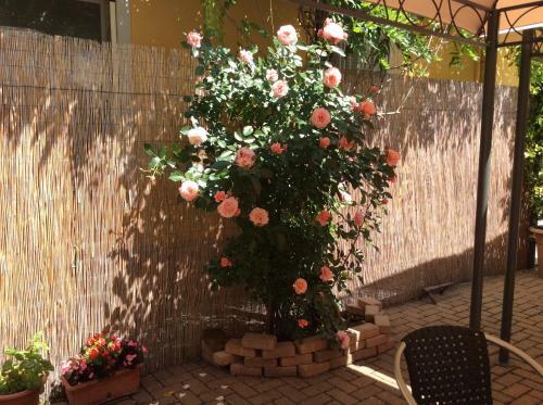 Bed & Breakfast Passeggeri Club House