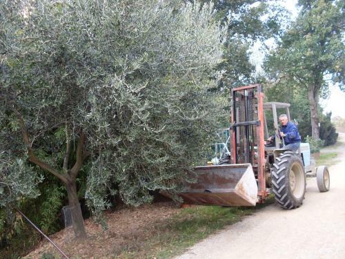 Agroturismo Agriturismo La Marletta