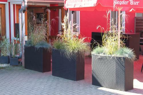 Hotel Restaurant Hochdorfer Hirschen