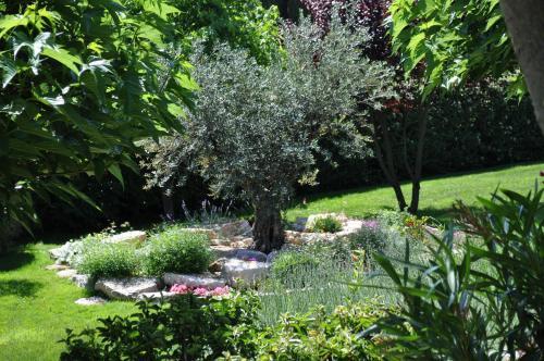 Bed & Breakfast La B�gude Du Pascouren