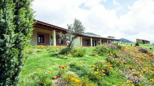 Agroturismo Agriturismo Il Ginepro