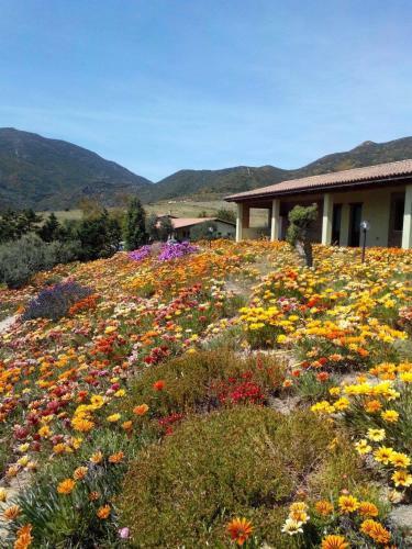 Agroturismo Agriturismo Il Ginepro