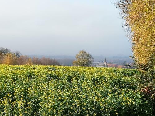 B&B 't Huys Van Enaeme