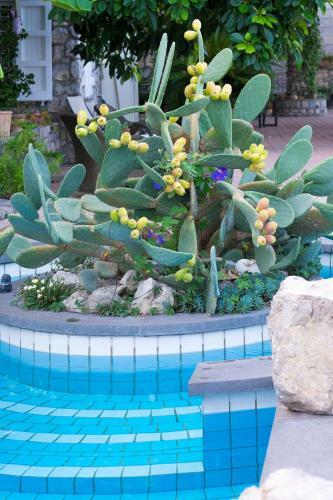 Bed & Breakfast Villa Ketty Resort