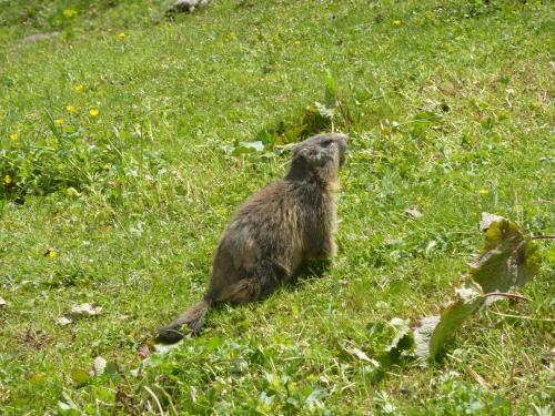 Hotel Les Gli�res - Champagny-en-vanoise