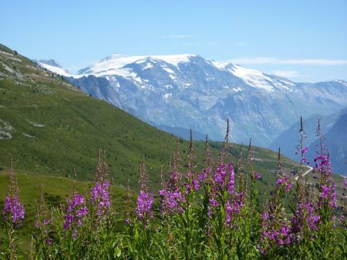 Hotel Les Gli�res - Champagny-en-vanoise