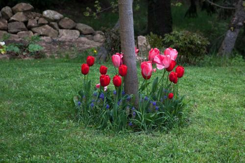 Bed & Breakfast Chambre D'h�tes La Bichette