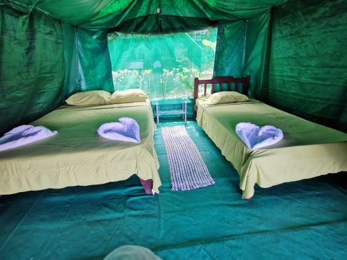 Corcovado Adventures Tent Camp
