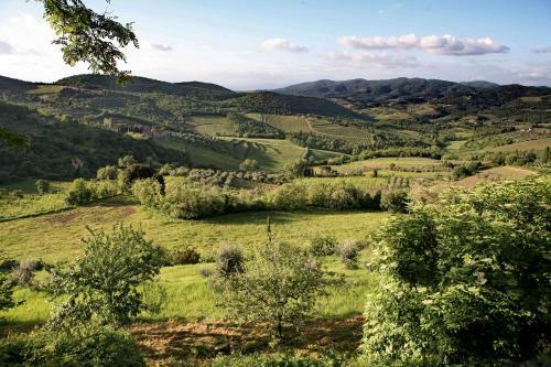 Agroturismo Residenza Antico Chianti