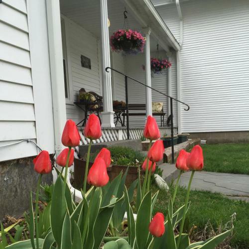 Bed & Breakfast Hobble Inn