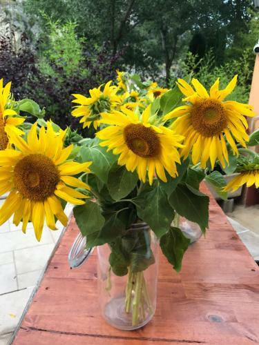 Bed & Breakfast Hotel Restaurant Le Moulin � Huile