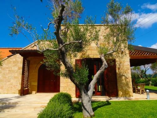 Bed & Breakfast Biancolivo Gallipoli In Salento