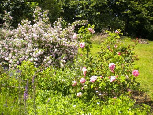 Bed & Breakfast Chambre D'h�tes Douceurs P�rigourdines