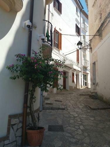Aparthotel Florenza Residence