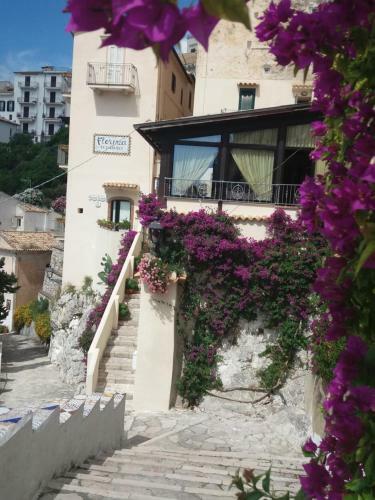 Aparthotel Florenza Residence