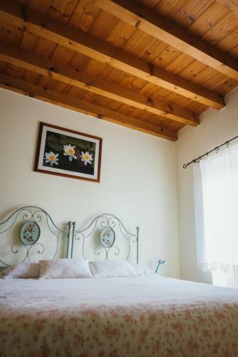 B&B Pedelmont
