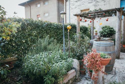 B&B Pedelmont