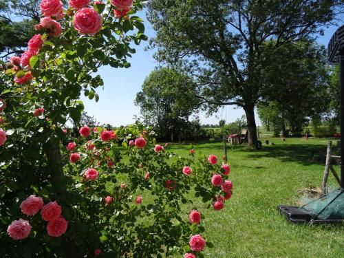 Bed & Breakfast La Fontenelle Chambres D'h�tes
