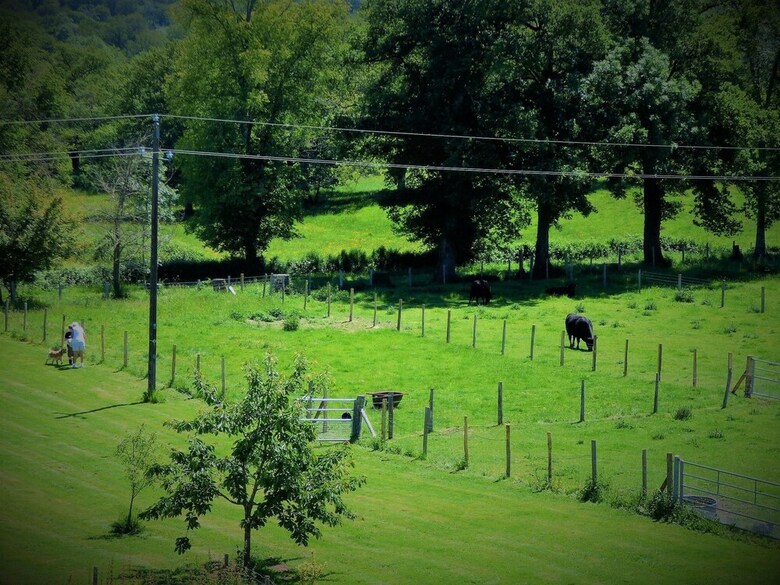 Bed & Breakfast L'ancien Presbyt�re