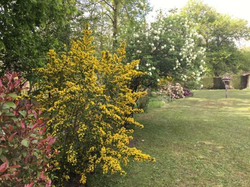 Bed & Breakfast Chambres D'h�tes La T�oul�re