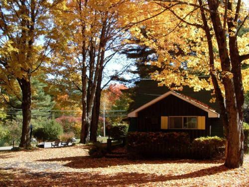 Amber Lantern Efficiency Cottage
