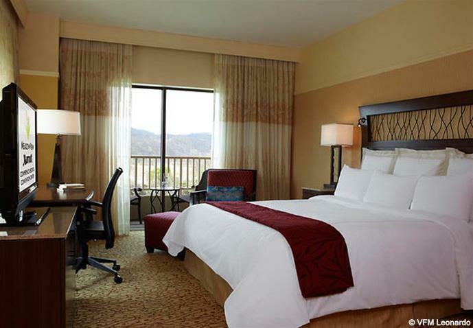 Hotel Meadowview Conference Resort And Convention Center
