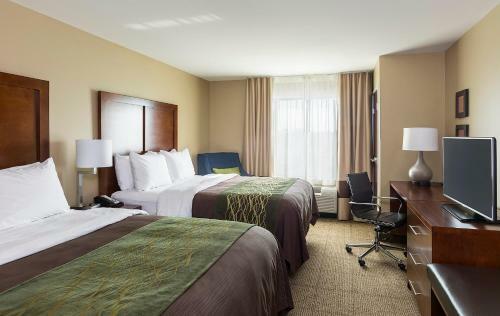 Hotel Comfort Inn & Suites- Rochester