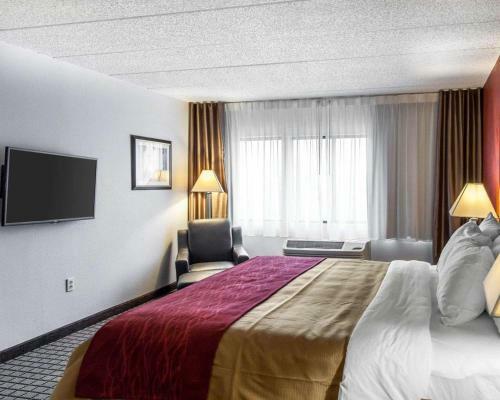 Hotel Comfort Inn Bwi Airport