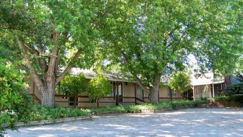 Hotel Tribesman Resort