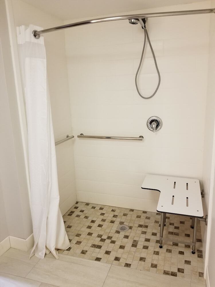Hotel Holiday Inn Express Birch Run-frankenmuth Area