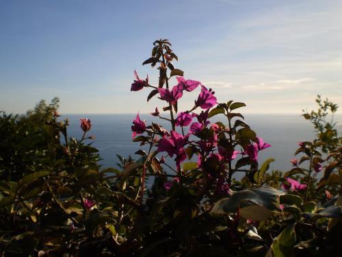 Hostal Maison D'h�tes Village De Roquebrune Cap Martin