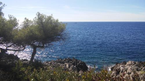 Hostal Maison D'h�tes Village De Roquebrune Cap Martin