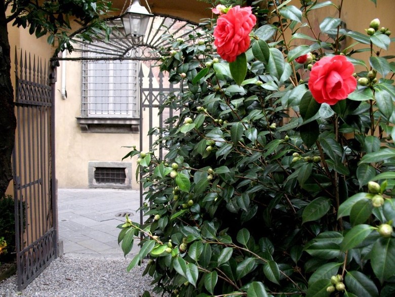 Hotel Noblesse