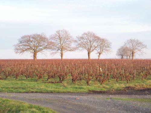 Bed & Breakfast La Genoise