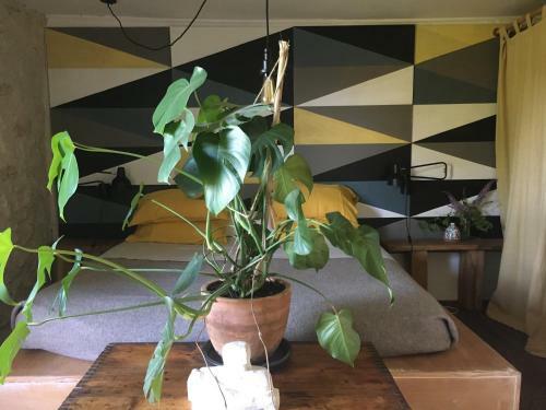 Bed & Breakfast Pauliac Chambres D'h�tes