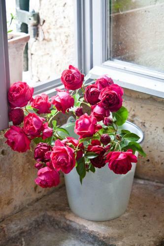 Bed & Breakfast Pauliac Chambres D'h�tes