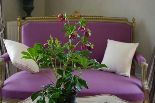 Bed & Breakfast Ch�teau De Pommeuse