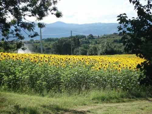 Bed & Breakfast Chambres D'h�tes La Chabri�re