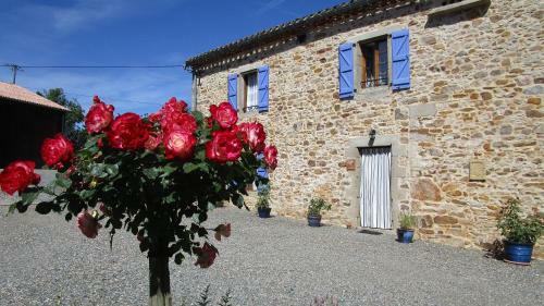 Bed & Breakfast G�tes & Chambres D'h�tes Peyrecout