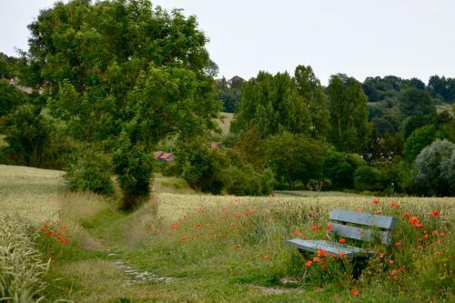 Bed & Breakfast La Petite Madeleine