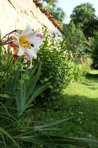 Bed & Breakfast Chambres D'h�tes Le Domaine De Stanislas