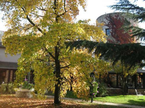 Bed & Breakfast Le Relais De La Tour