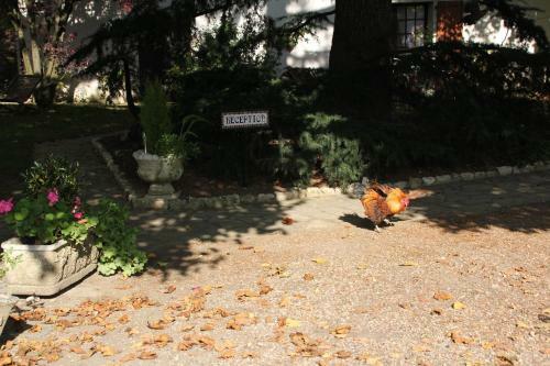 Bed & Breakfast Le Relais De La Tour