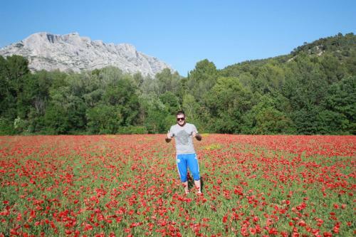 Villa Sainte Victoire Aix En Provence