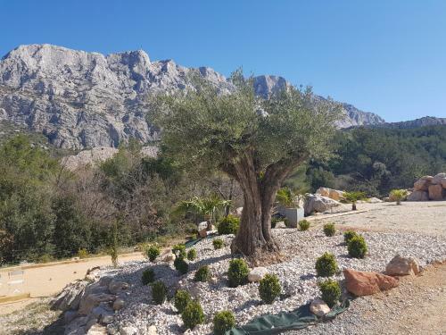 Villa Sainte Victoire Aix En Provence