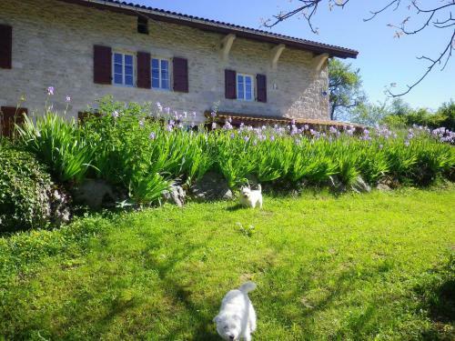 Bed & Breakfast Chambre D'h�tes La Haie Fleurie