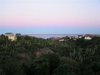 Hostal Dolphin View Guesthouse